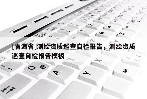 [青海省]测绘资质巡查自检报告，测绘资质巡查自检报告模板