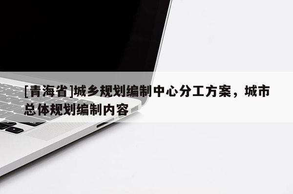 [青海省]城乡规划编制中心分工方案，城市总体规划编制内容