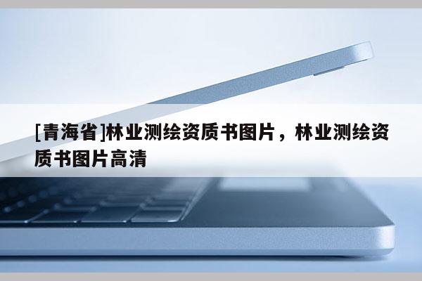 [青海省]林业测绘资质书图片，林业测绘资质书图片高清