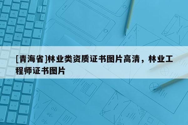 [青海省]林业类资质证书图片高清，林业工程师证书图片