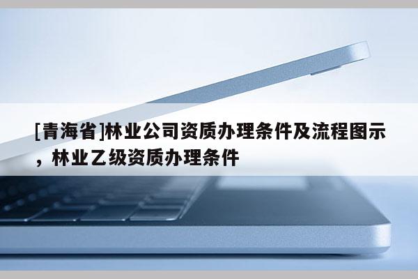 [青海省]林业公司资质办理条件及流程图示，林业乙级资质办理条件