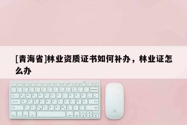 [青海省]林业资质证书如何补办，林业证怎么办