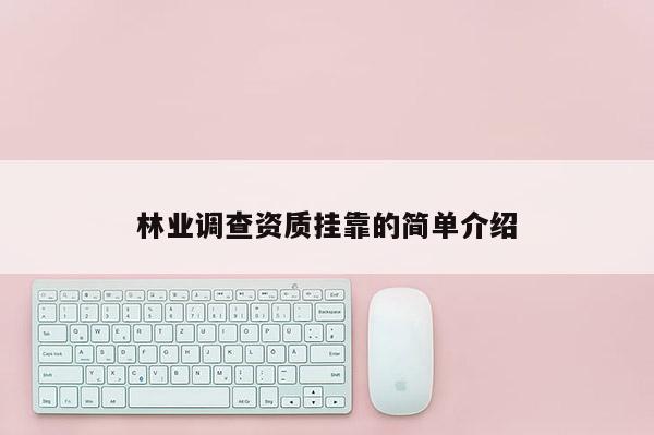 林业调查资质挂靠的简单介绍