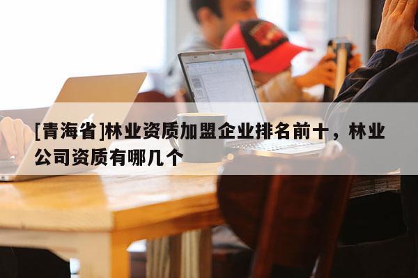 [青海省]林业资质加盟企业排名前十，林业公司资质有哪几个