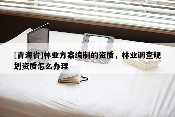 [青海省]林业方案编制的资质，林业调查规划资质怎么办理