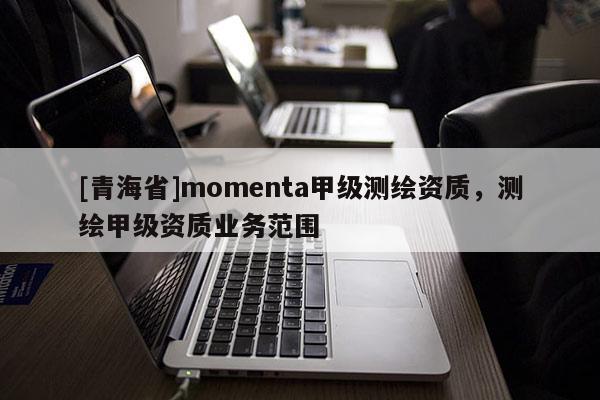 [青海省]momenta甲级测绘资质，测绘甲级资质业务范围