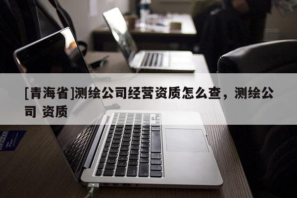 [青海省]测绘公司经营资质怎么查，测绘公司 资质