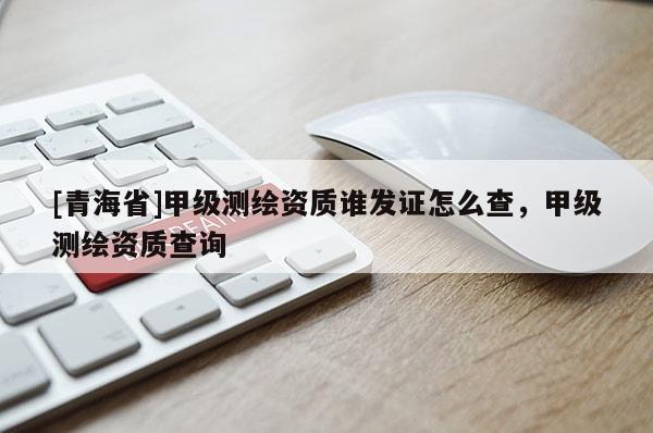 [青海省]甲级测绘资质谁发证怎么查，甲级测绘资质查询