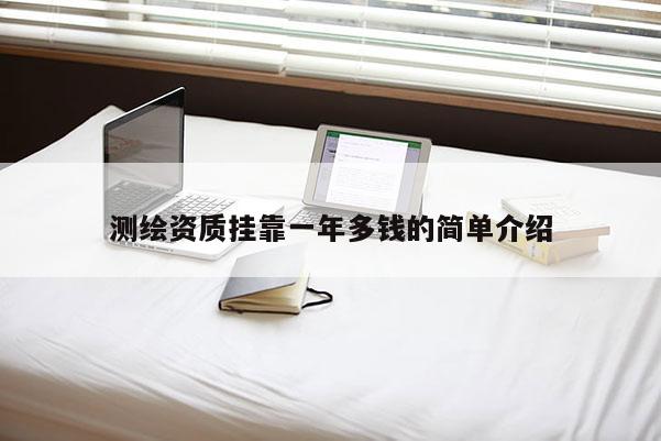 测绘资质挂靠一年多钱的简单介绍