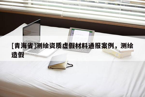 [青海省]测绘资质虚假材料通报案例，测绘造假