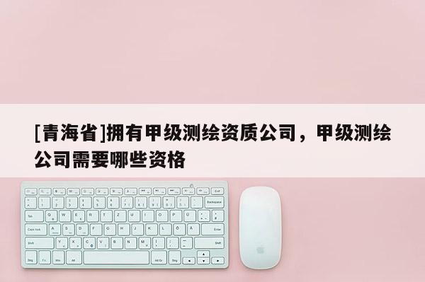 [青海省]拥有甲级测绘资质公司，甲级测绘公司需要哪些资格