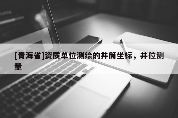 [青海省]资质单位测绘的井筒坐标，井位测量