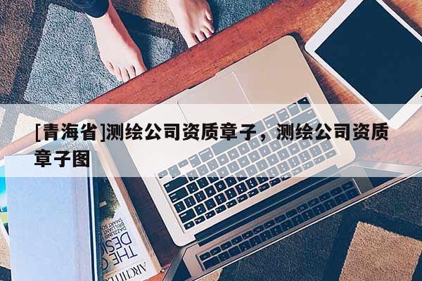 [青海省]测绘公司资质章子，测绘公司资质章子图