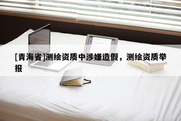 [青海省]测绘资质中涉嫌造假，测绘资质举报