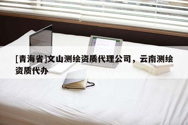 [青海省]文山测绘资质代理公司，云南测绘资质代办