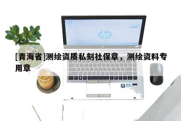 [青海省]测绘资质私刻社保章，测绘资料专用章
