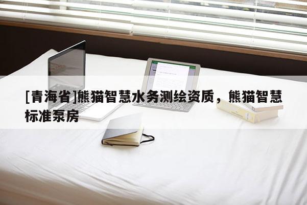 [青海省]熊猫智慧水务测绘资质，熊猫智慧标准泵房