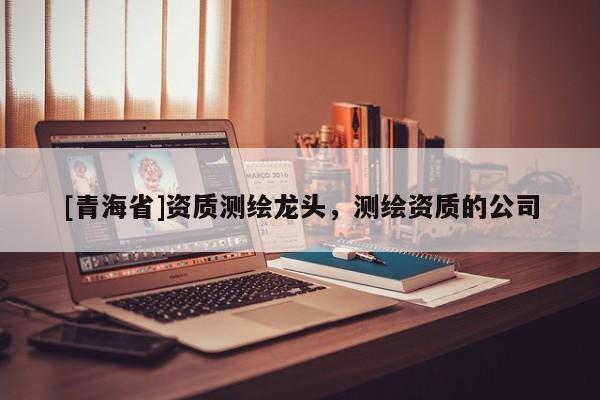 [青海省]资质测绘龙头，测绘资质的公司