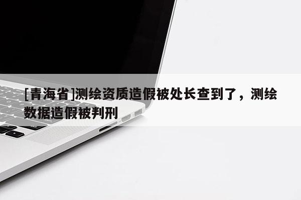 [青海省]测绘资质造假被处长查到了，测绘数据造假被判刑