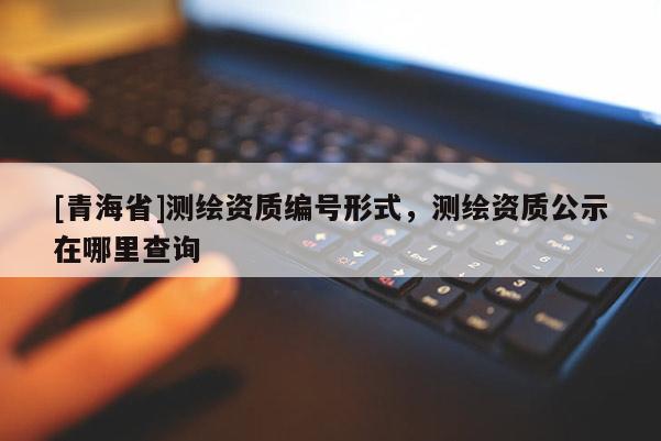 [青海省]测绘资质编号形式，测绘资质公示在哪里查询