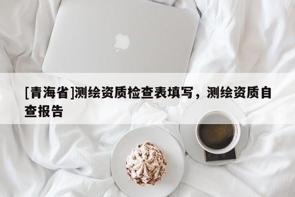 [青海省]测绘资质检查表填写，测绘资质自查报告