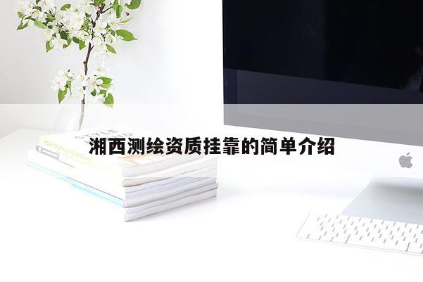 湘西测绘资质挂靠的简单介绍