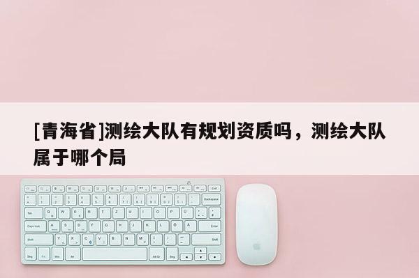 [青海省]测绘大队有规划资质吗，测绘大队属于哪个局