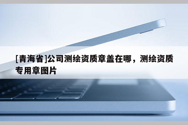 [青海省]公司测绘资质章盖在哪，测绘资质专用章图片