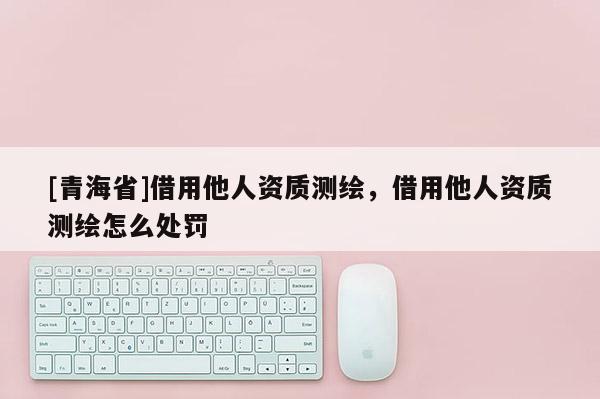 [青海省]借用他人资质测绘，借用他人资质测绘怎么处罚