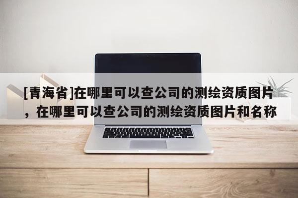 [青海省]在哪里可以查公司的测绘资质图片，在哪里可以查公司的测绘资质图片和名称