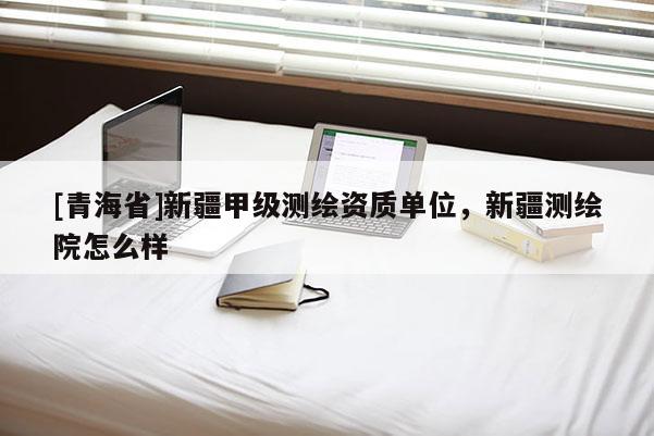 [青海省]新疆甲级测绘资质单位，新疆测绘院怎么样