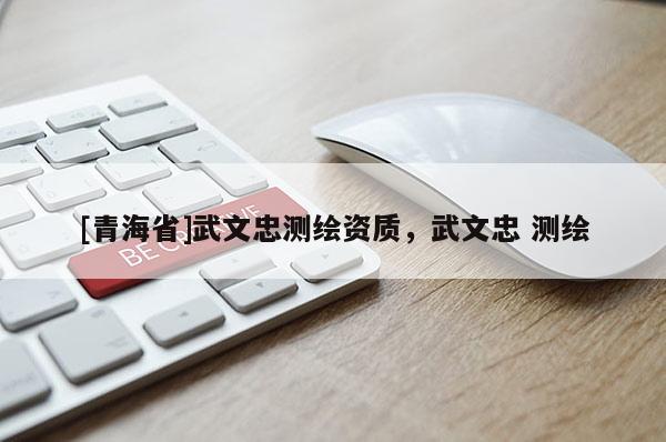 [青海省]武文忠测绘资质，武文忠 测绘