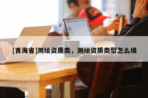 [青海省]测绘资质类，测绘资质类型怎么填