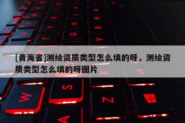 [青海省]测绘资质类型怎么填的呀，测绘资质类型怎么填的呀图片