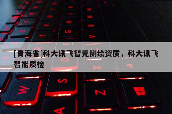 [青海省]科大讯飞智元测绘资质，科大讯飞智能质检