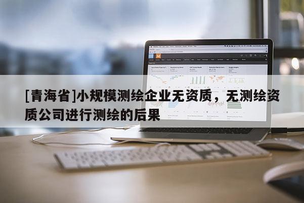 [青海省]小规模测绘企业无资质，无测绘资质公司进行测绘的后果