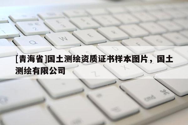 [青海省]国土测绘资质证书样本图片，国土测绘有限公司