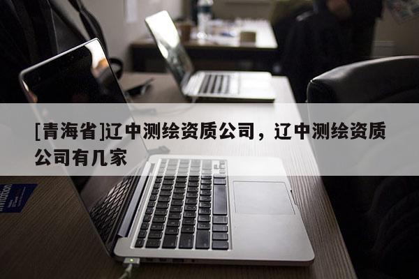 [青海省]辽中测绘资质公司，辽中测绘资质公司有几家