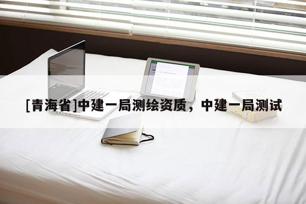 [青海省]中建一局测绘资质，中建一局测试