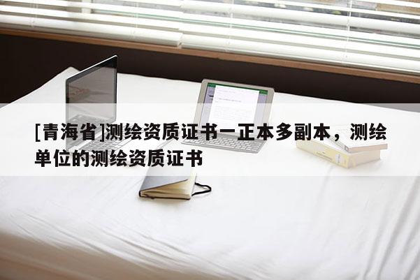 [青海省]测绘资质证书一正本多副本，测绘单位的测绘资质证书