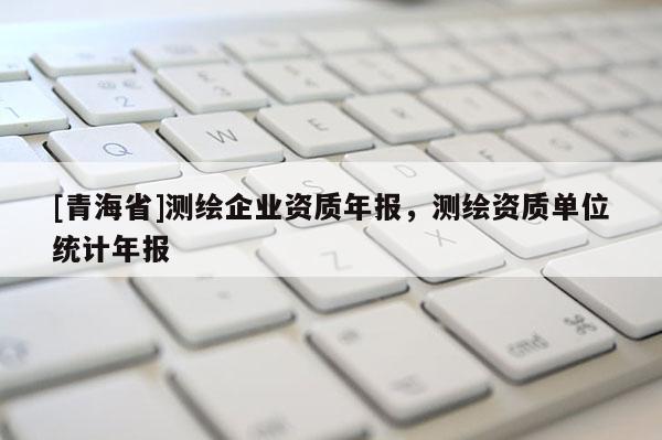 [青海省]测绘企业资质年报，测绘资质单位统计年报