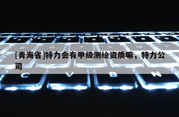 [青海省]特力会有甲级测绘资质嘛，特力公司