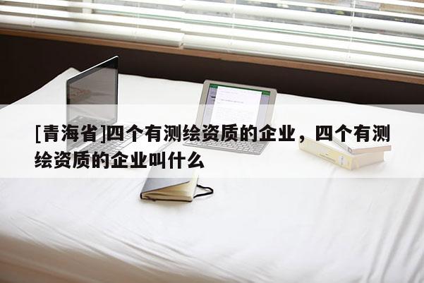 [青海省]四个有测绘资质的企业，四个有测绘资质的企业叫什么
