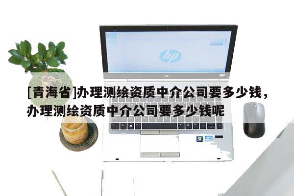 [青海省]办理测绘资质中介公司要多少钱，办理测绘资质中介公司要多少钱呢