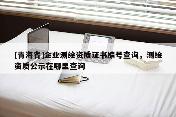 [青海省]企业测绘资质证书编号查询，测绘资质公示在哪里查询